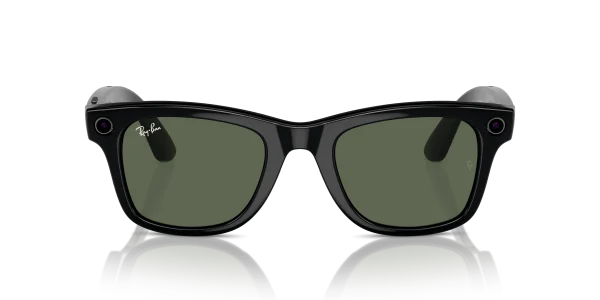 Ray-Ban Meta Wayfarer (RW4006)