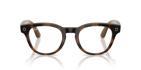 Ray-Ban Meta Scriber (RW7002)